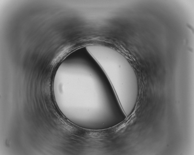 X0000091540341200708171014
