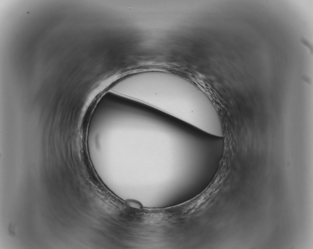 X0000091540342200708171014