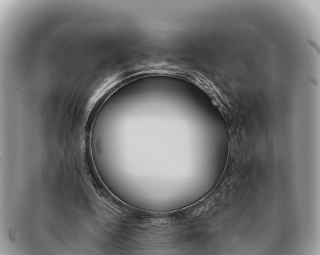 X0000091540344200708171014