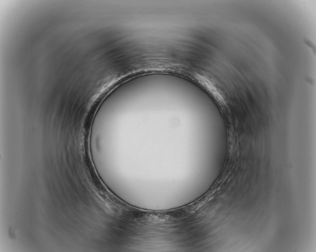 X0000091540346200708171014