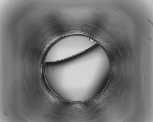 X0000091540350200708171014