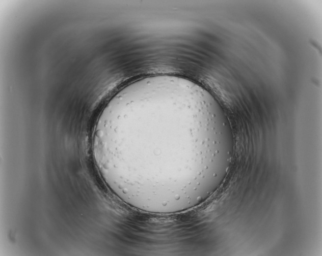 X0000091540351200708171014
