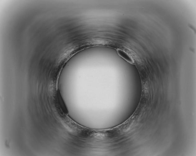 X0000091540352200708171014
