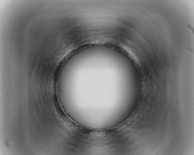 X0000091540354200708171014