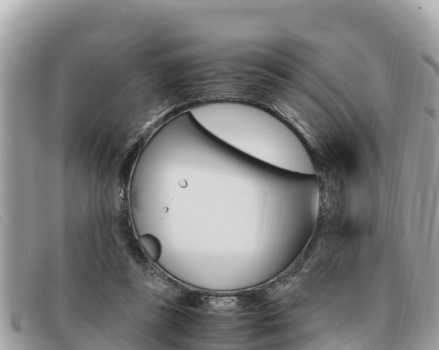 X0000091540355200708171014