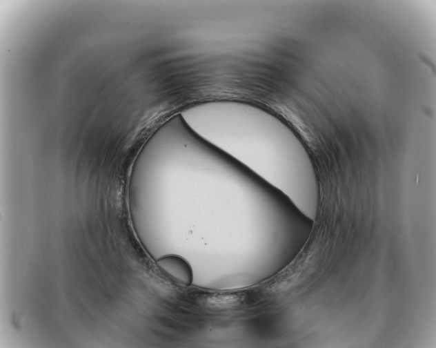 X0000091540357200708171014