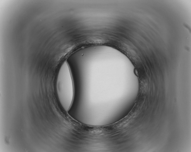 X0000091540358200708171014
