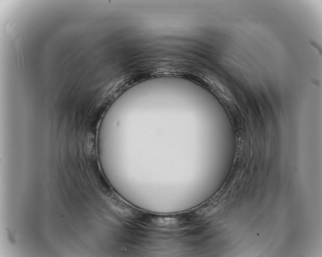 X0000091540361200708171014