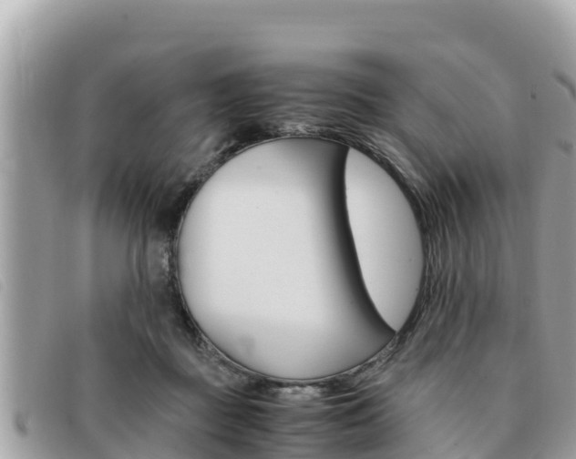 X0000091540363200708171014
