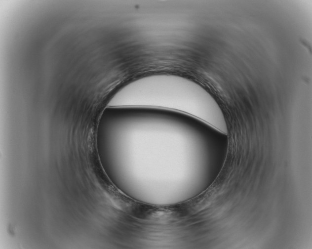 X0000091540364200708171014