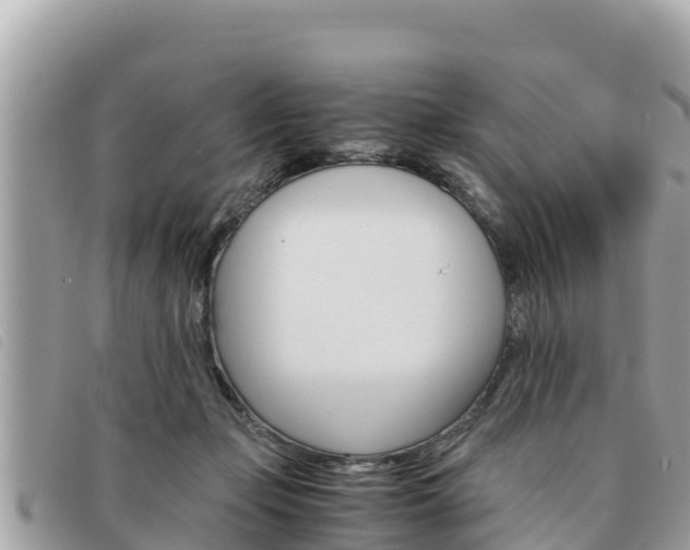 X0000091540365200708171014