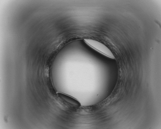 X0000091540368200708171014