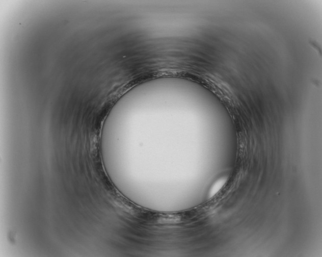 X0000091540369200708171014