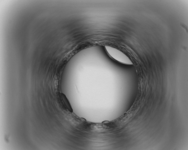 X0000091540372200708171014