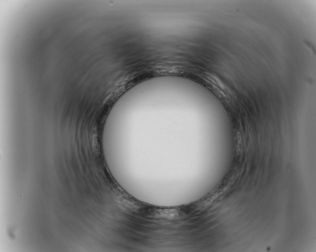 X0000091540377200708171015