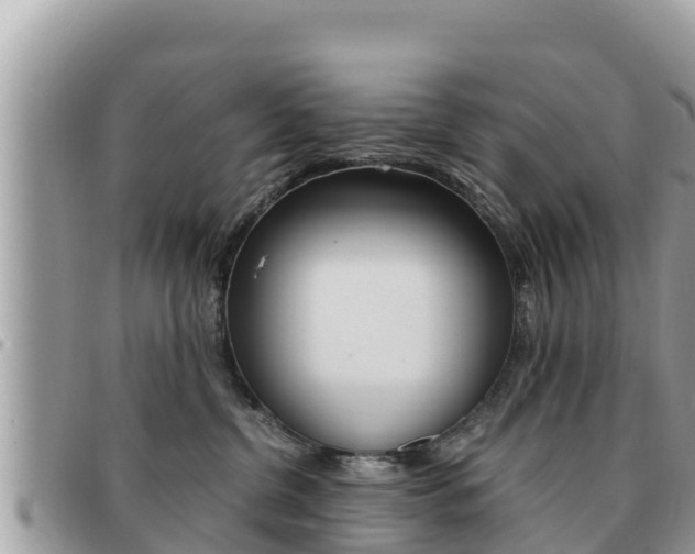 X0000091540380200708171015