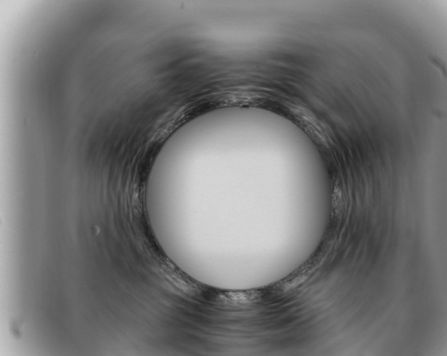 X0000091540381200708171015