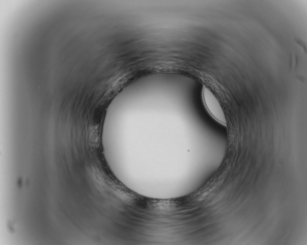 X0000091540383200708171015