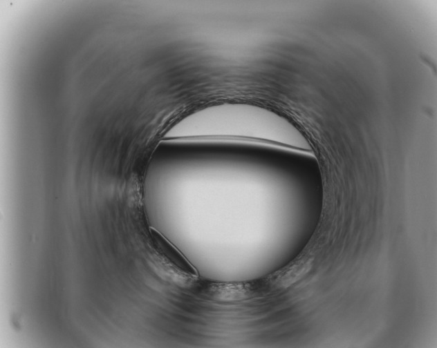 X0000091540384200708171015