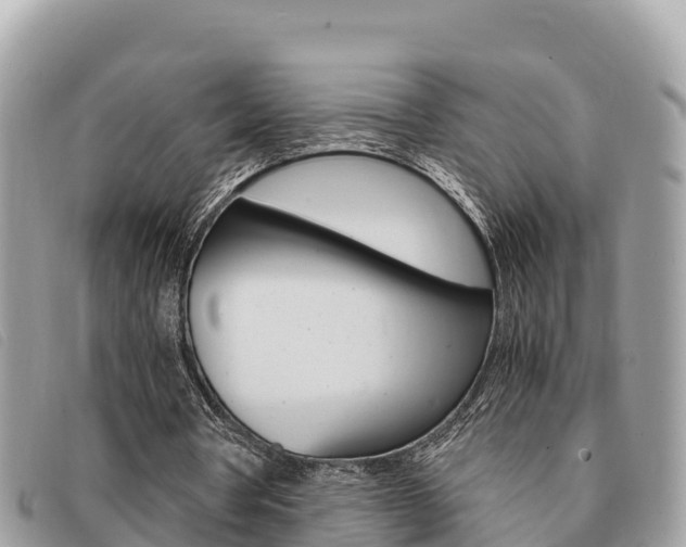 X0000091540386200708171014