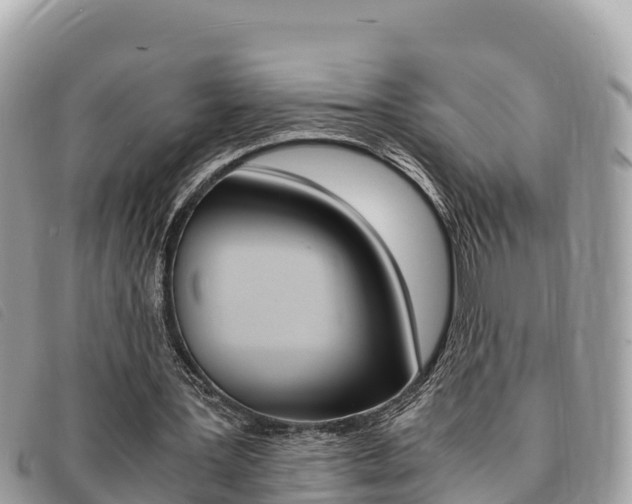 X0000091540387200708171014