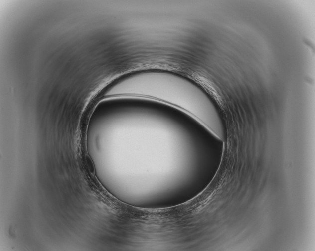 X0000091540388200708171014