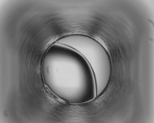 X0000091540389200708171014