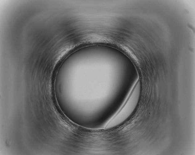X0000091540391200708171014