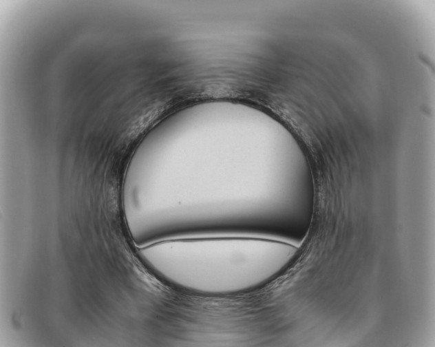 X0000091540393200708171014
