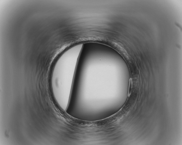 X0000091540395200708171014