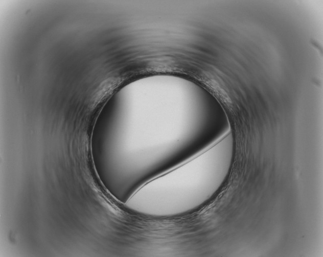 X0000091540397200708171014