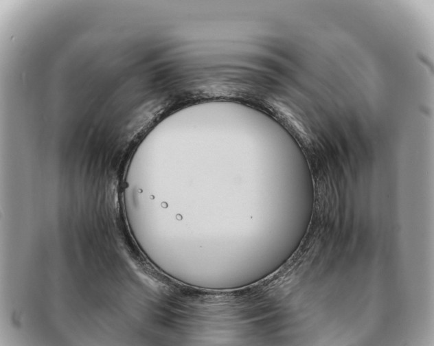 X0000091540398200708171014