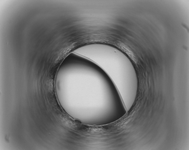 X0000091540401200708171014