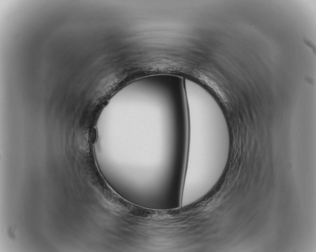 X0000091540403200708171014