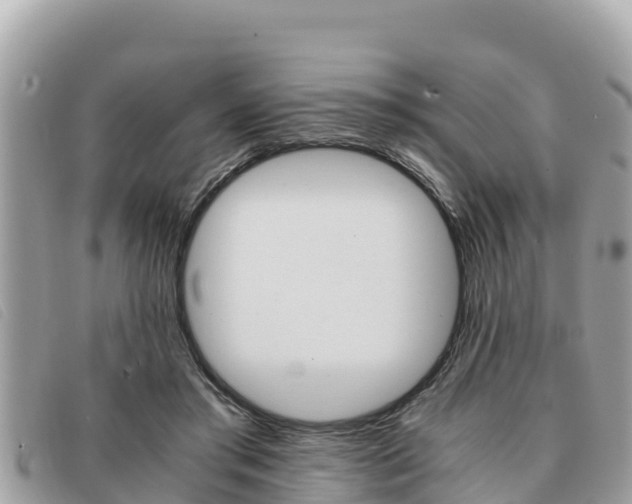 X0000091540405200708171014