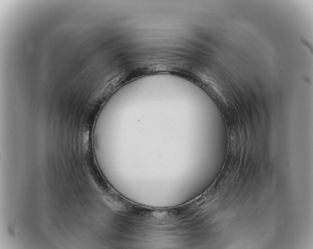 X0000091540406200708171014