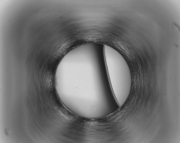 X0000091540408200708171014