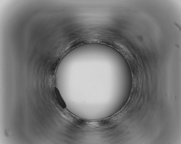 X0000091540409200708171014