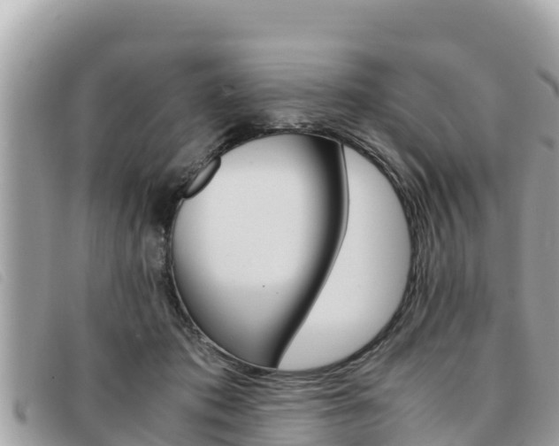 X0000091540413200708171014