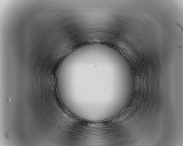 X0000091540414200708171014