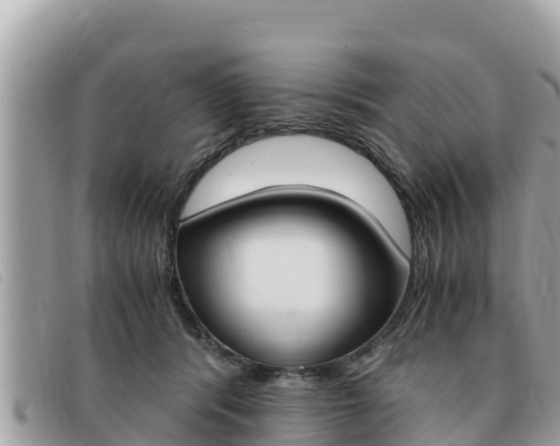 X0000091540416200708171014