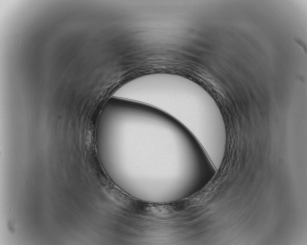 X0000091540417200708171014