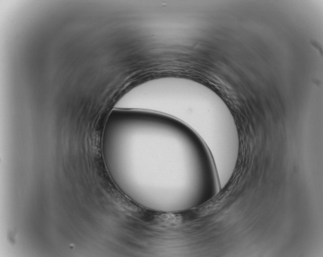X0000091540421200708171014