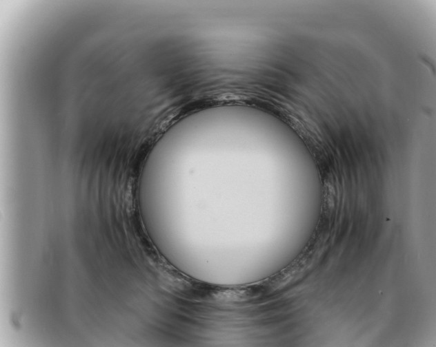 X0000091540422200708171014