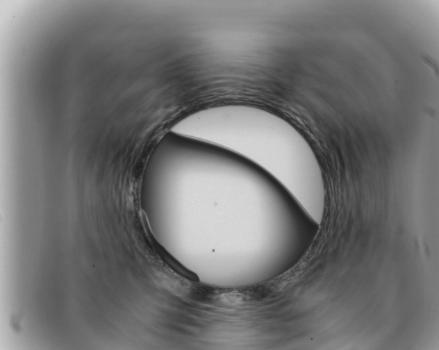 X0000091540423200708171014