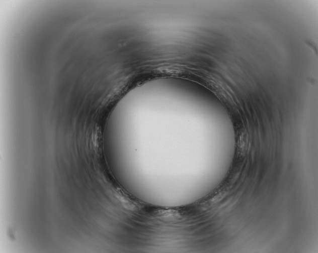 X0000091540424200708171014