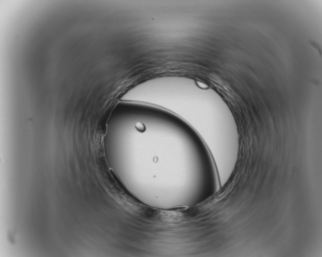 X0000091540429200708171014