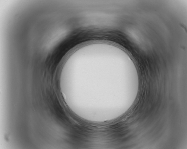 X0000091540431200708171013