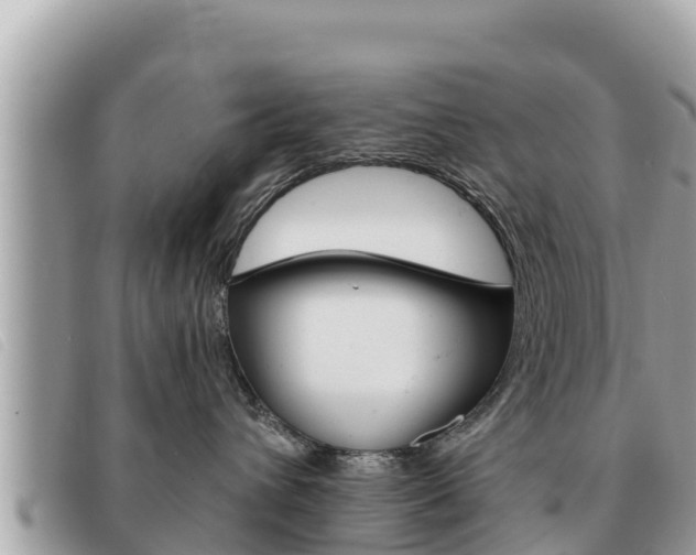 X0000091540432200708171013