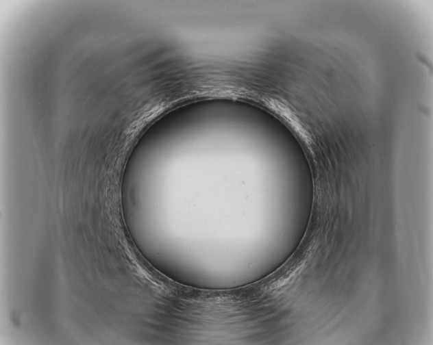 X0000091540433200708171013